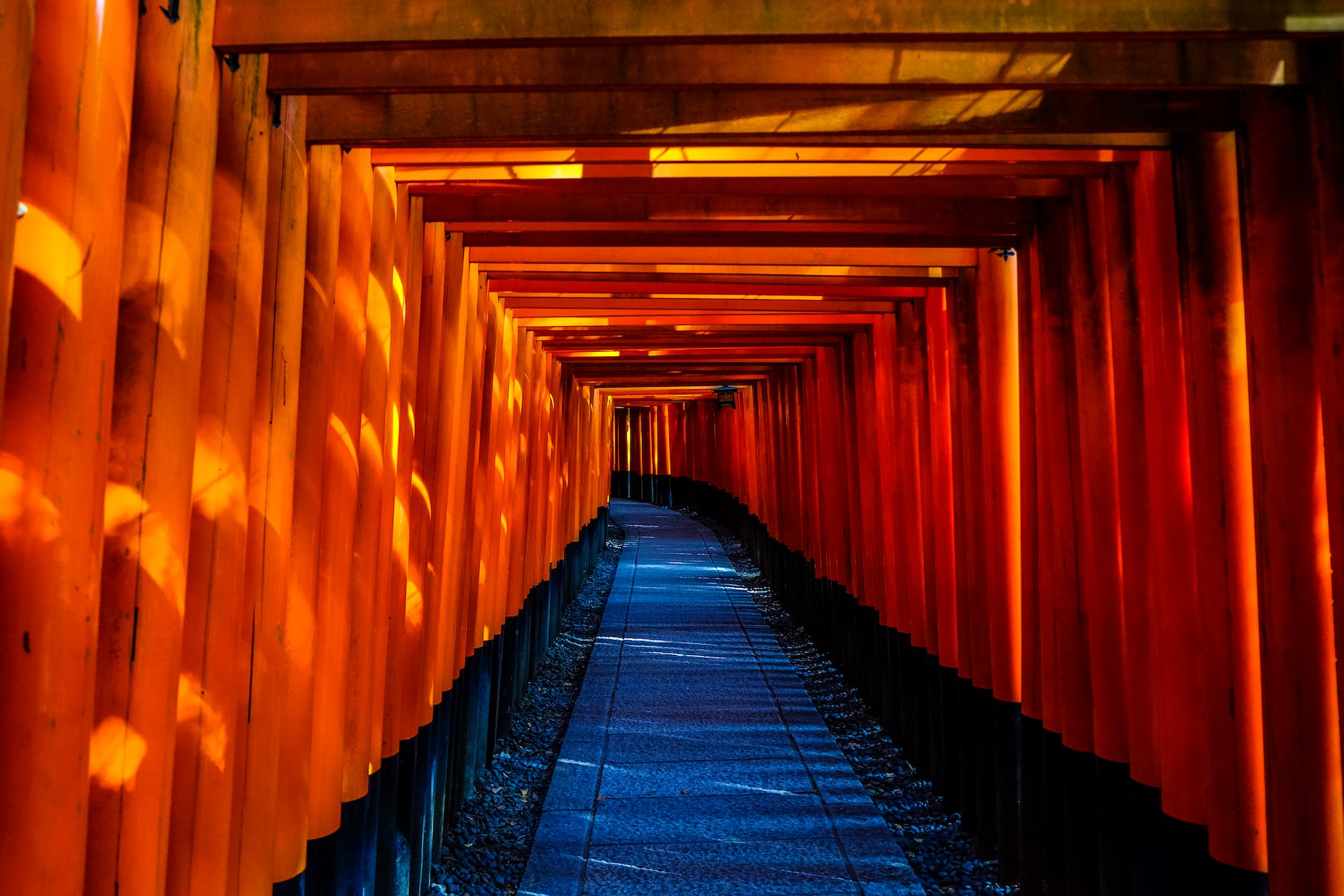 blue and orange wooden pathway